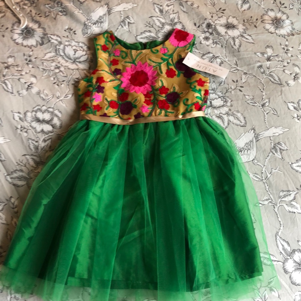 NWT 3-4 year dress